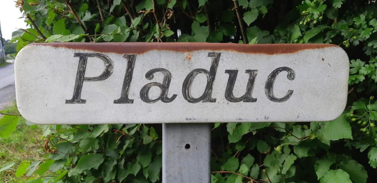 Lachaise Domaine De Pladuc Bed & Breakfast エクステリア 写真