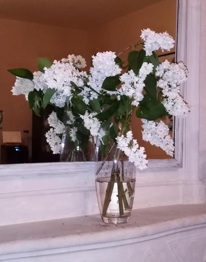 Lachaise Domaine De Pladuc Bed & Breakfast エクステリア 写真