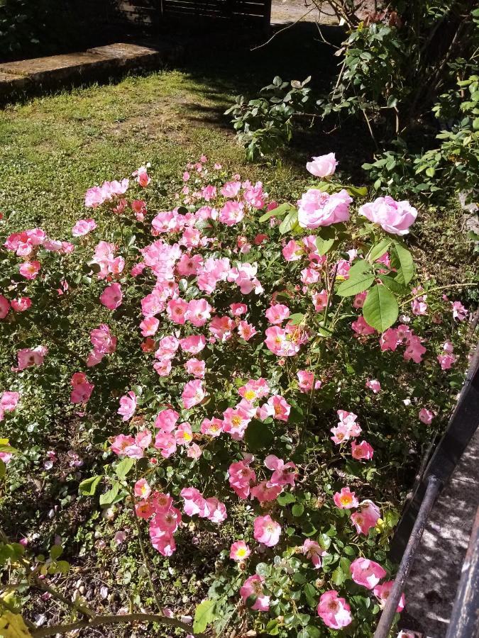 Lachaise Domaine De Pladuc Bed & Breakfast エクステリア 写真