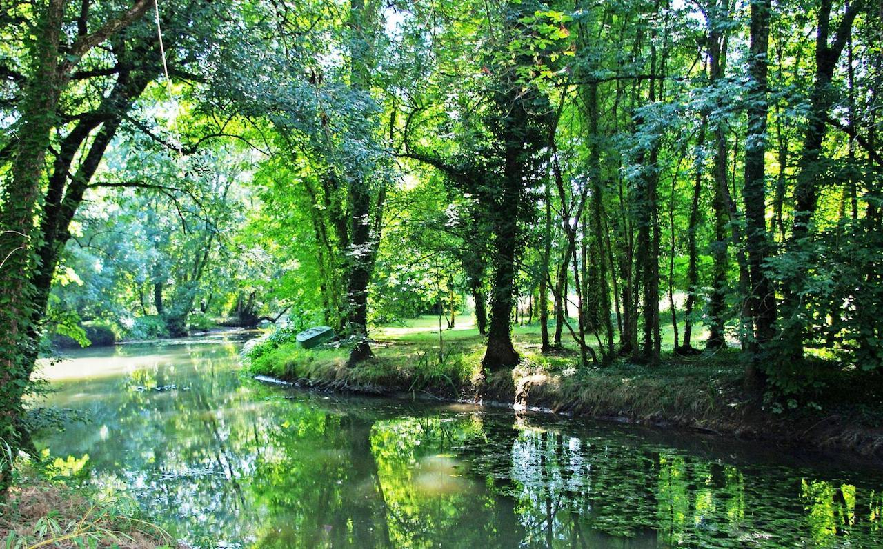Lachaise Domaine De Pladuc Bed & Breakfast エクステリア 写真