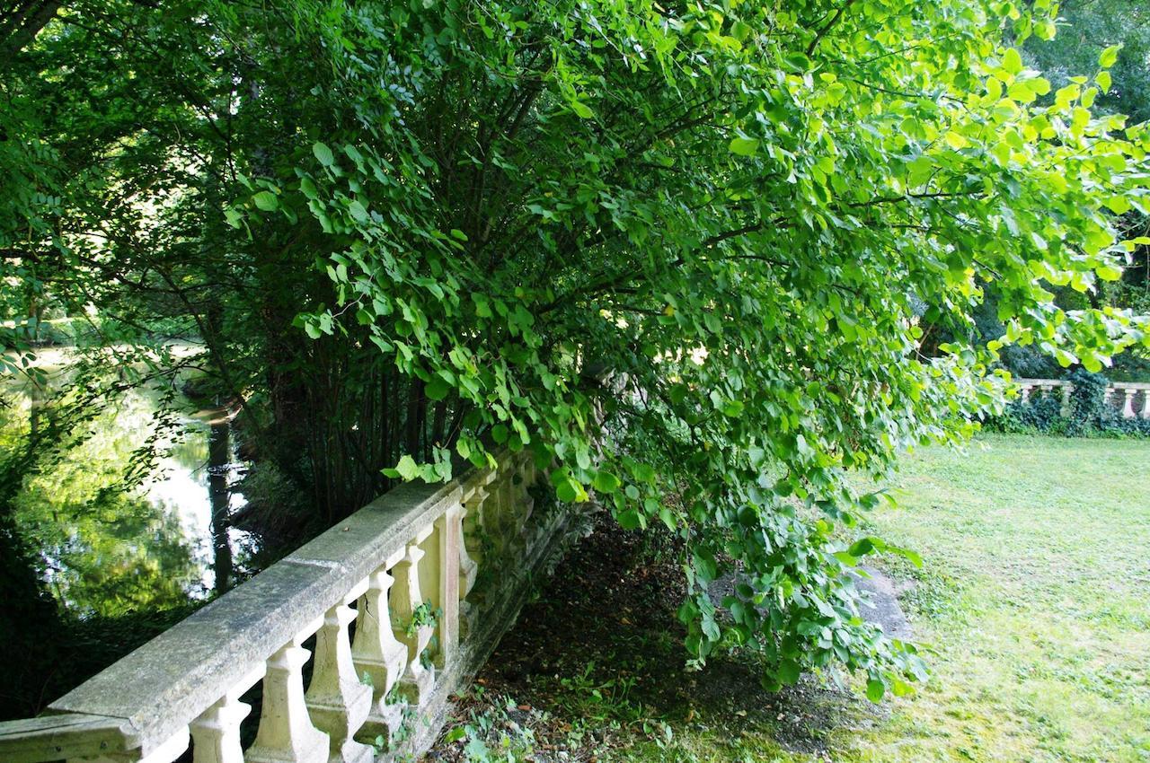 Lachaise Domaine De Pladuc Bed & Breakfast エクステリア 写真